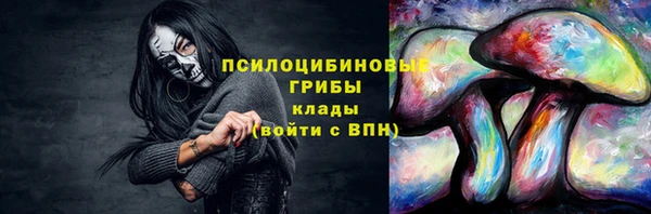 спайс Нея
