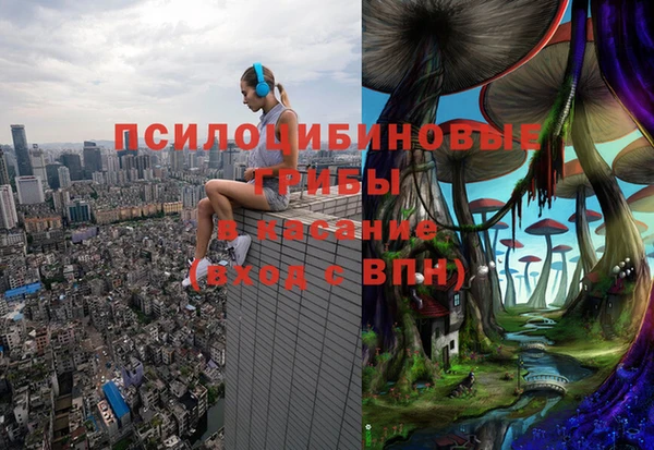 наркотики Новозыбков