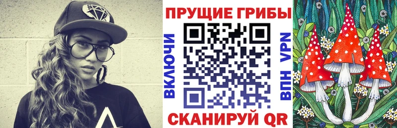 цены   Нелидово  Галлюциногенные грибы Cubensis 
